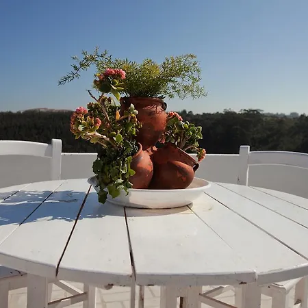 Εξοχικό σπίτι Holidays In Ericeira - Casa Azul Μάφρα